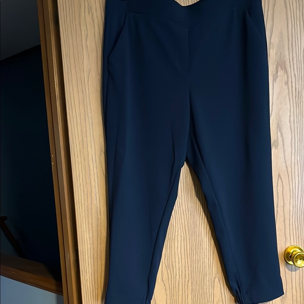 LOFT Blue Ankle Cropped Pants